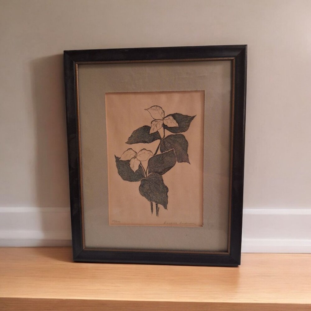 Hand Signed Annarae Anderson Print 25 of‎ 500 Botanical Illustration Black Frame